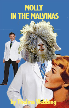 Molly in the Malvinas by Thelma Webbing